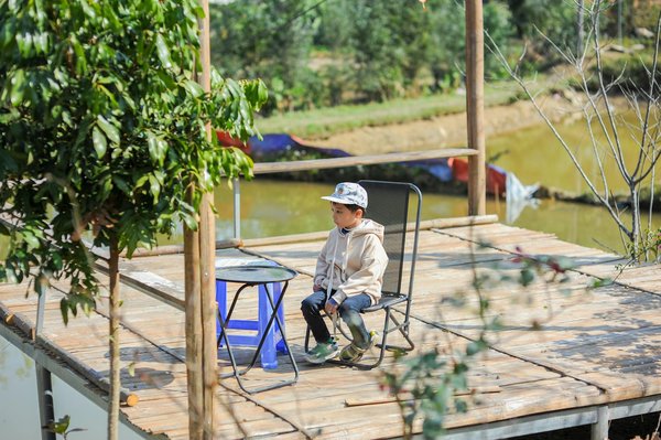 Les spectacles de rue: un miroir de la société