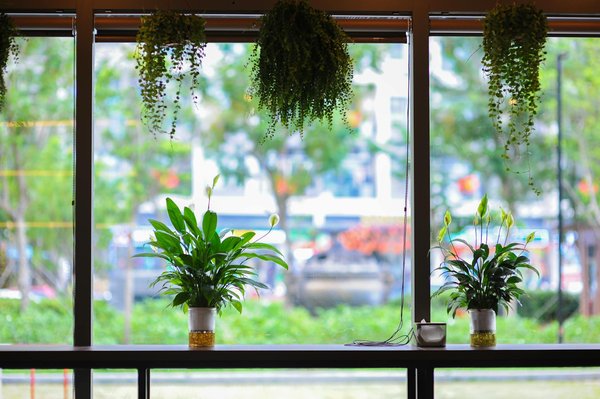 Quels sont les défis auxquels sont confrontés les freelance dans l'économie numérique actuelle ?